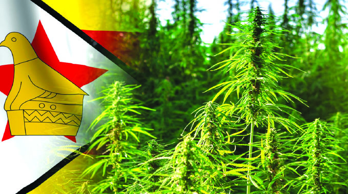 EDITORIAL COMMENT: Hemp can be a major raw material