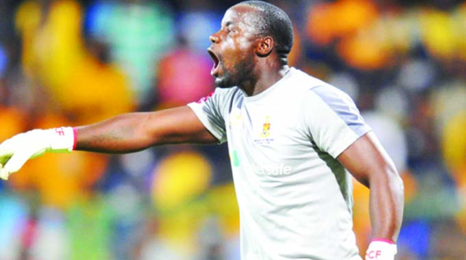 Arubi fancies winning major award