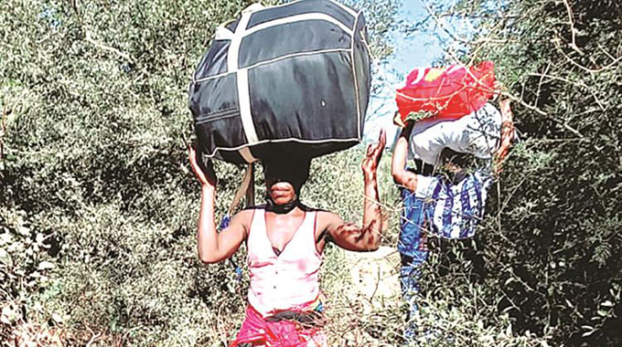 Smugglers bounce back with new routes