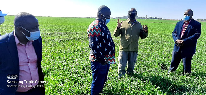 Marapira commended for driving Masvingo wheat output