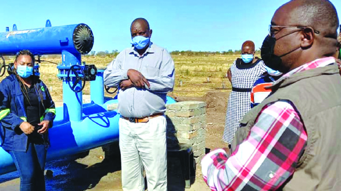 Firm ploughs US$5,5m into citrus production