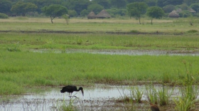 Zim calls for concerted conservation efforts ahead of World Wetlands Day