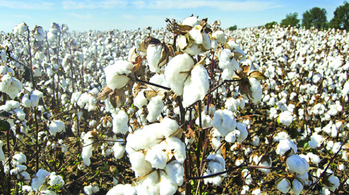 Cotton value chain actors to get over US$30m: Cottco
