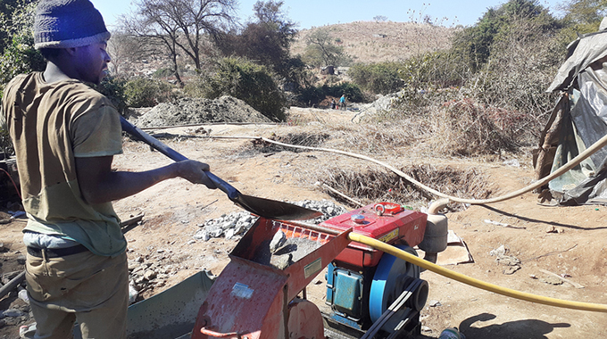 River sacrifices flow to sustain ‘golden’ dreams