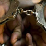 The suspects allegedly drove three beasts from Mozambique into Zimbabwe