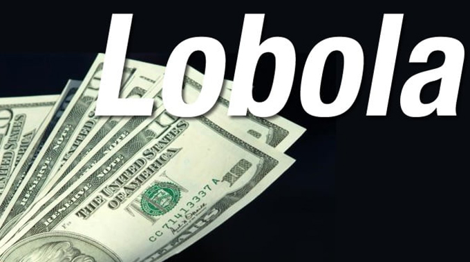 Man in court for violently demanding back lobola
