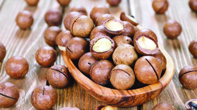 Macadamia reg deadline set