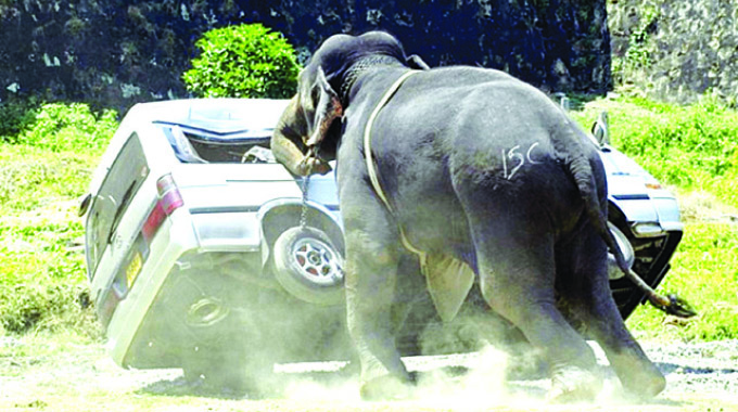Jumbo victim identified
