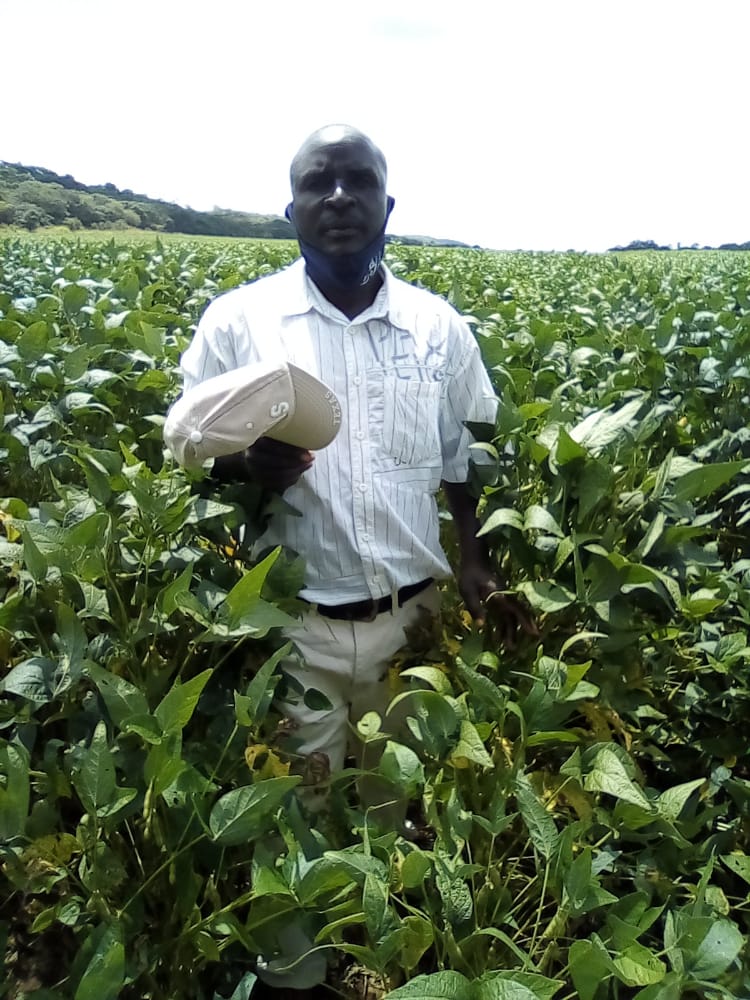 Agritex training contributes to improved service delivery