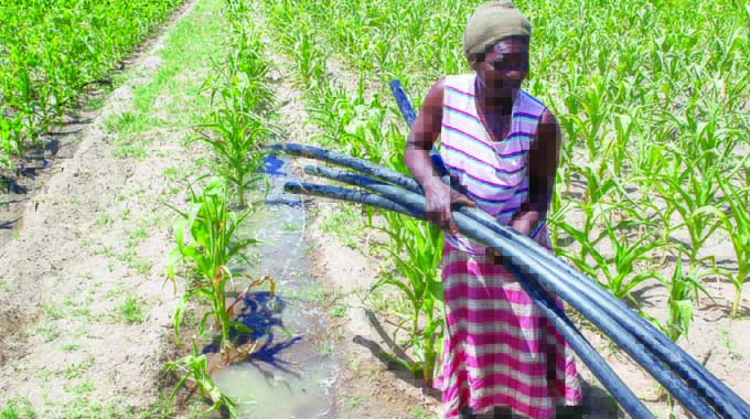 Arda deployment will give traction to devolution agenda