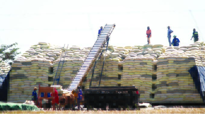 2021: When everything fell in place for agriculture
