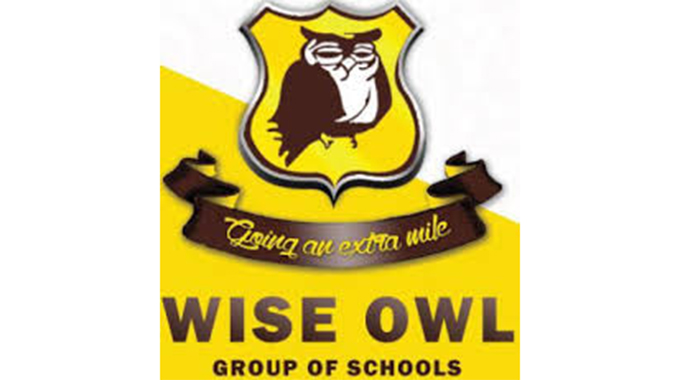 Wise Owl School in court