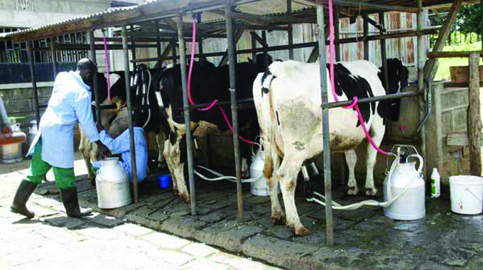 Raw milk production hits 67m litres in nine months