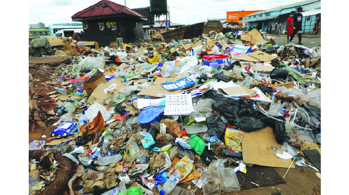 Illegal dumpsites tarnish city