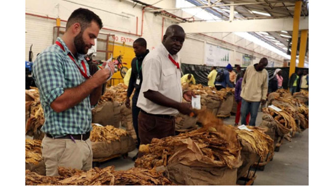 Zimbabwe tobacco industry targets US$7 billion by 2030