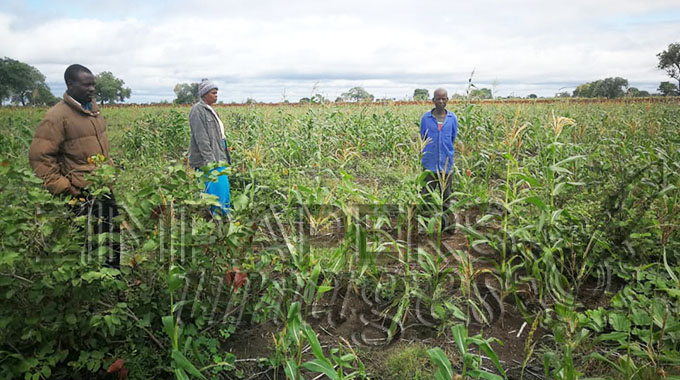 Chiredzi South borehole rehabilitation mitigates climate change