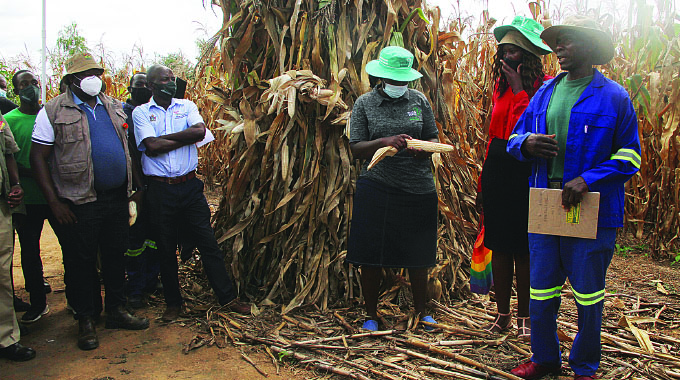 7 GMB depots get grain dryers