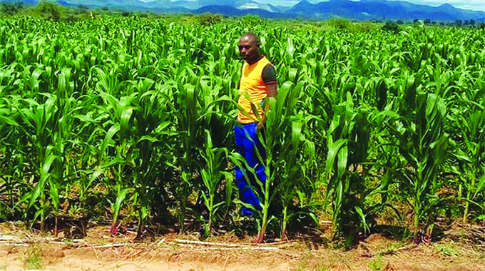 Take-home lessons from 2021/22 cropping season