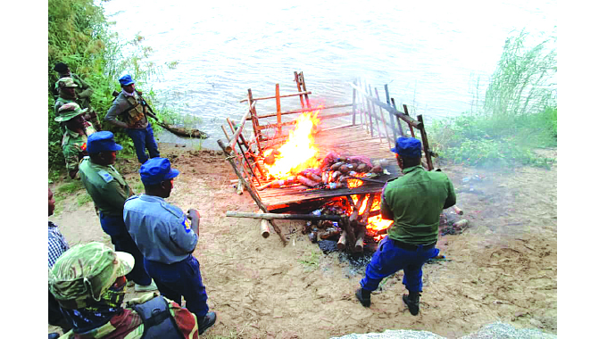 Smuggling blitz nets 9 buses