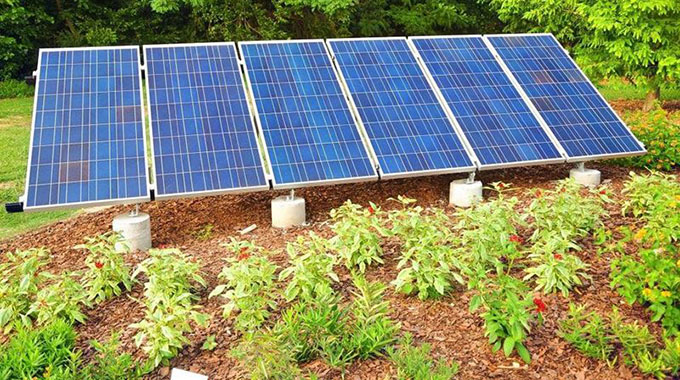 Filing the rough edges of poverty through solar-powered gardens
