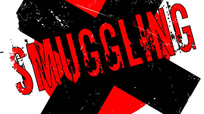 Man charged with smuggling fuel worth over $68 000 into Zimbabwe