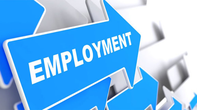 Employment levels rise