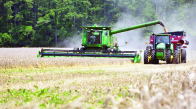 Time every farmer with irrigation considers wheat production