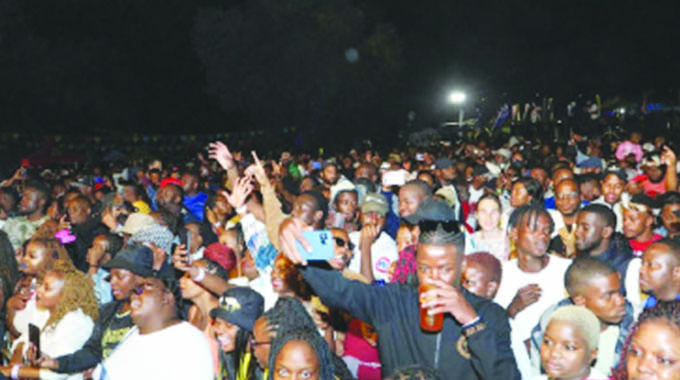 Vic Falls Carnival, a whole vibe