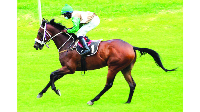 Castle Tankard lights up Borrowdale Park