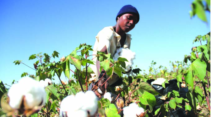 EDITORIAL COMMENT: Marketing co-ops way to go as villages develop