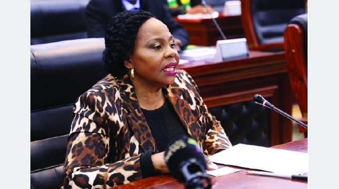 US$2,5m boost for Dorowa minerals