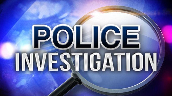 Probe launched into killing of two detectives in Zaka