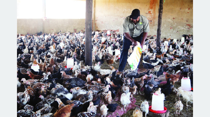 All set for free range poultry standard launch