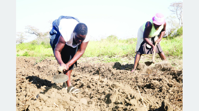 Farmers advised to plant through holidays