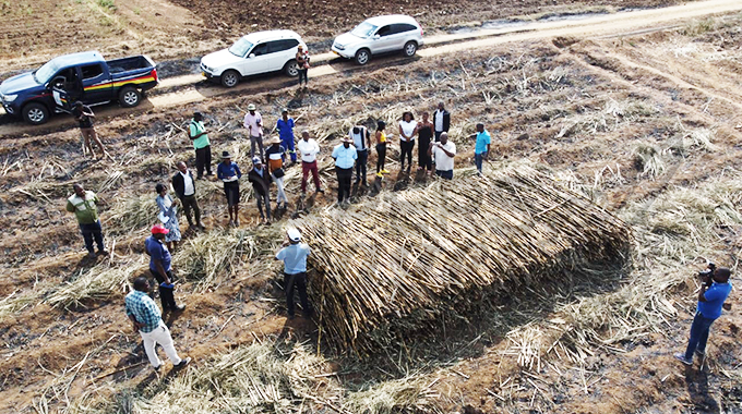 Chiredzi West legislator calls for optimum use of land to achieve Vision 2030 goals