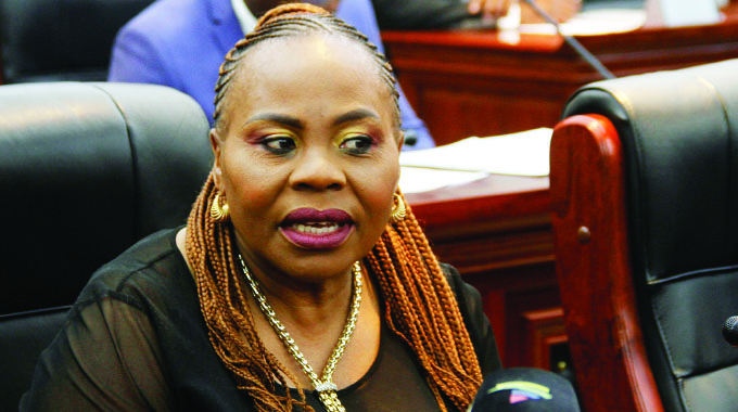 Efforts to develop Zim continue: Minister