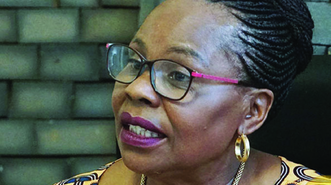 ‘Zim, China are sister nations’