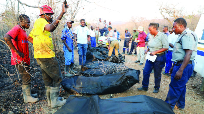 Raging veld fire kills 10 farm workers