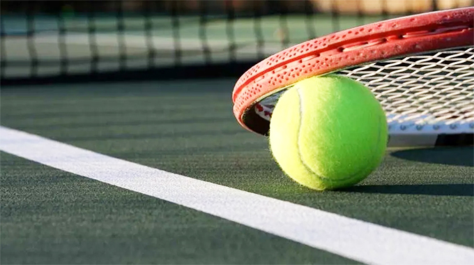 TZ appoints new GM