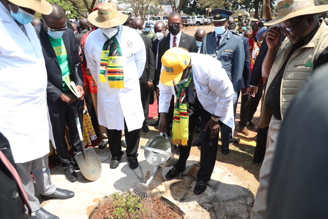 Everyone should plant a tree, President