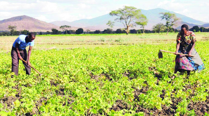 Five steps to achieve food security in Africa
