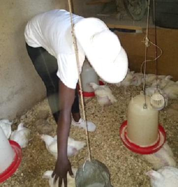 Sex workers in income-generating projects
