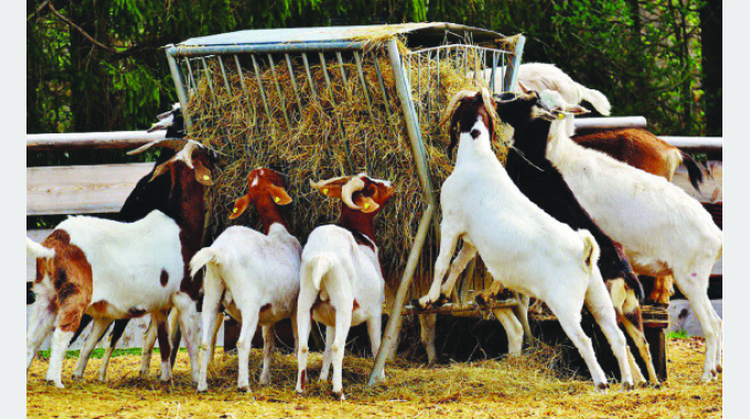 Agric programmes perfectly aligned for Rural Development 8.0