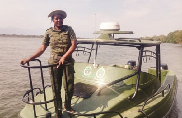 Trailblazing female ranger vows to continue wildlife fight despite risks