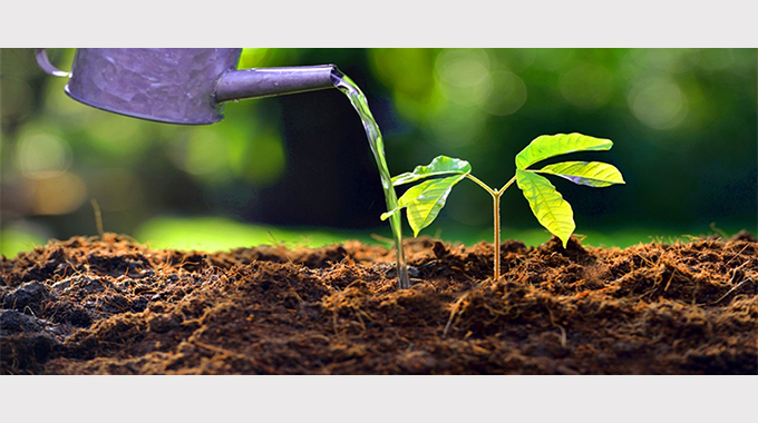 Pulipeli farmers reap rewards of  climate-smart soil and water conservation