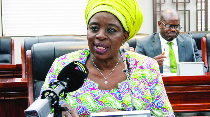 4,6m Pfumvudza/Intwasa plots prepared for 2022-23 farming season