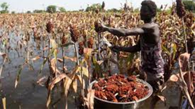 Torrential floods in West Africa hurt food security