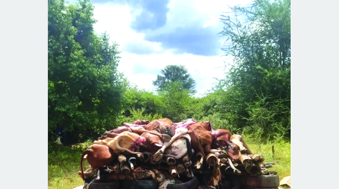 Farmers should make informed choices to solve sector challenges