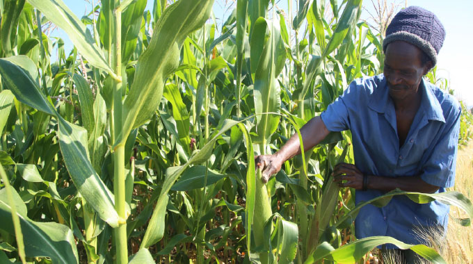 Agro-based fraud a threat to food security