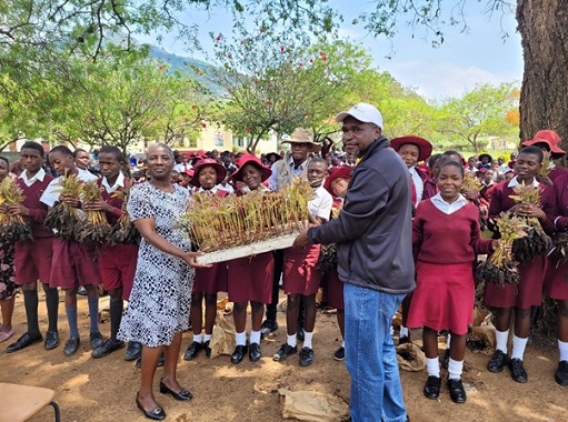 Afforestation programme to spawn revenue for schools